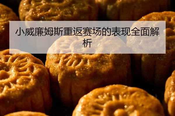 小威廉姆斯重返赛场的表现全面解析