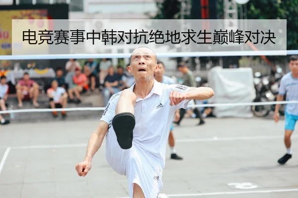 电竞赛事中韩对抗绝地求生巅峰对决